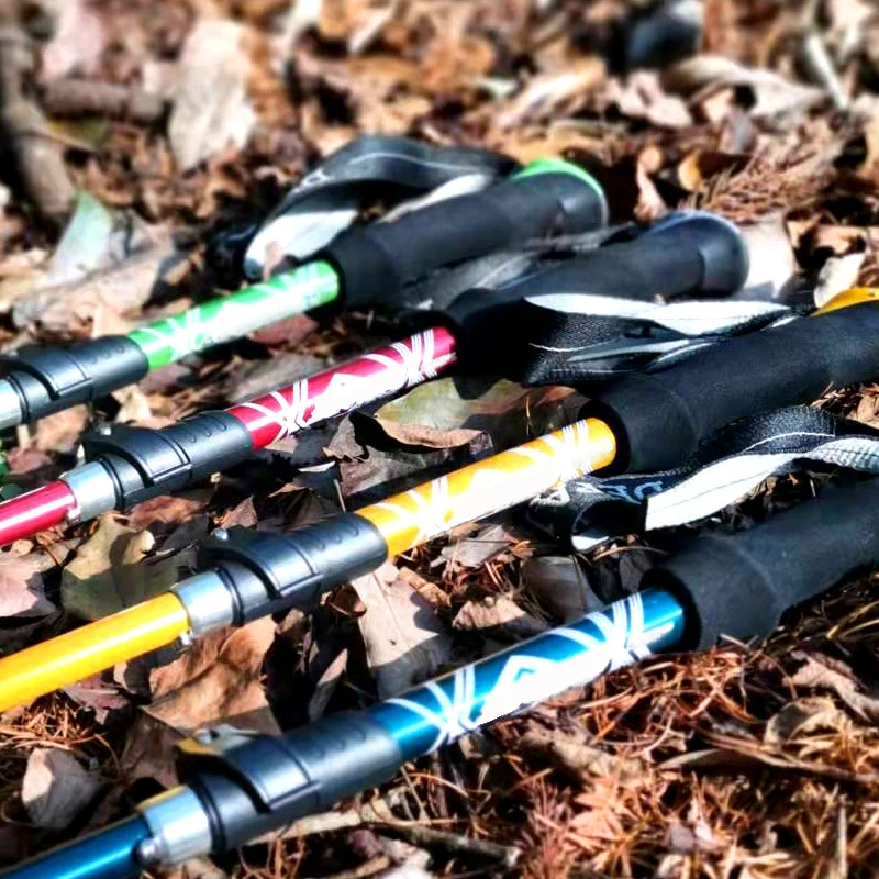 Palo de Trekking plegable para - Trekking Pole Carbon reseña y precio