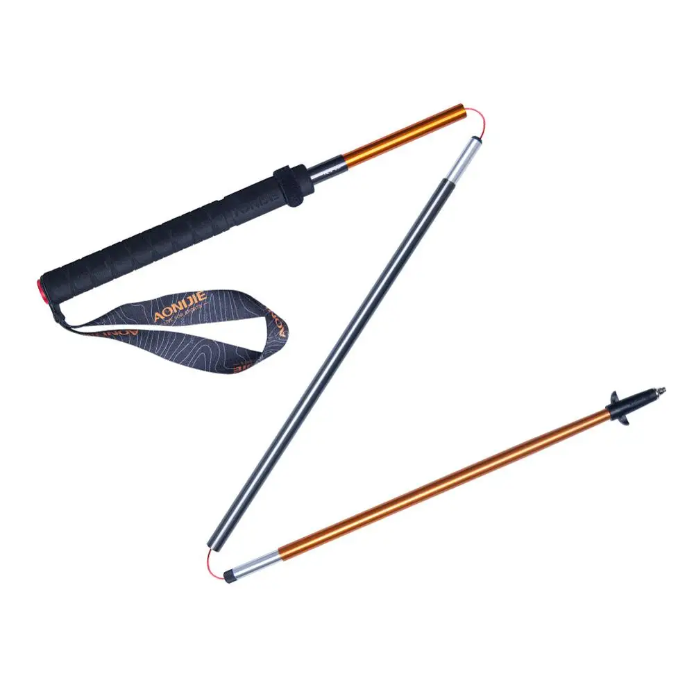 Bastones de Trekking Plegables - Trekking Pole Carbon reseña y precio