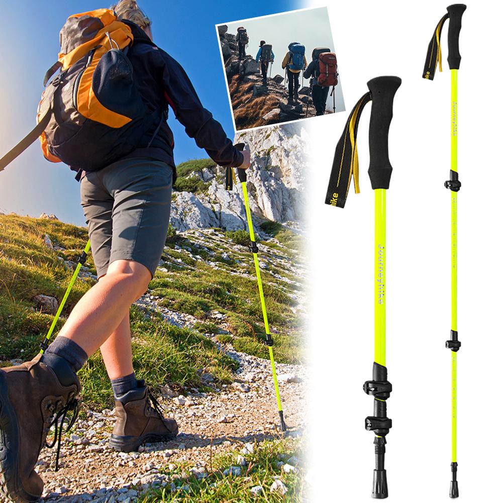 Bastones de Trekking plegables - Trekking Pole Carbon reseña y precio