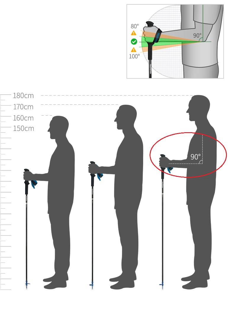 PIONEER bastones para caminar  - Trekking Pole Carbon reseña y precio