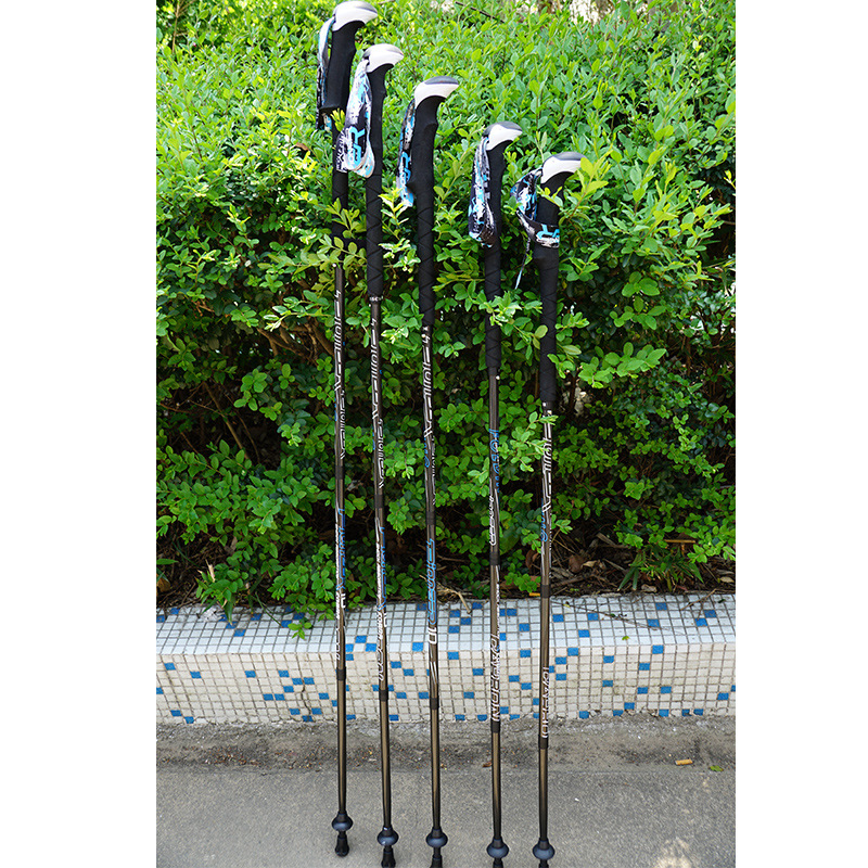 PIONEER bastones para caminar  - Trekking Pole Carbon reseña y precio